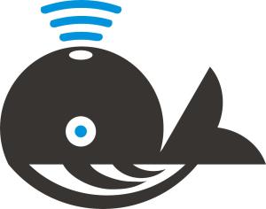 河南千鱼网络科技