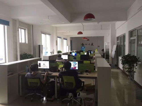 广西叶道网络科技 数字化时代下的创新引擎