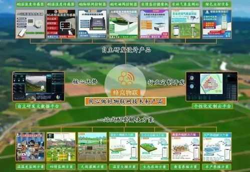 四情监测系统助力三明沙县智慧茶园科学管控，提产增效