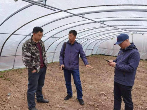 百期网课开新局，科技助农谱新篇——市农业科学院“学史力行庆华诞”网络课堂圆满结课